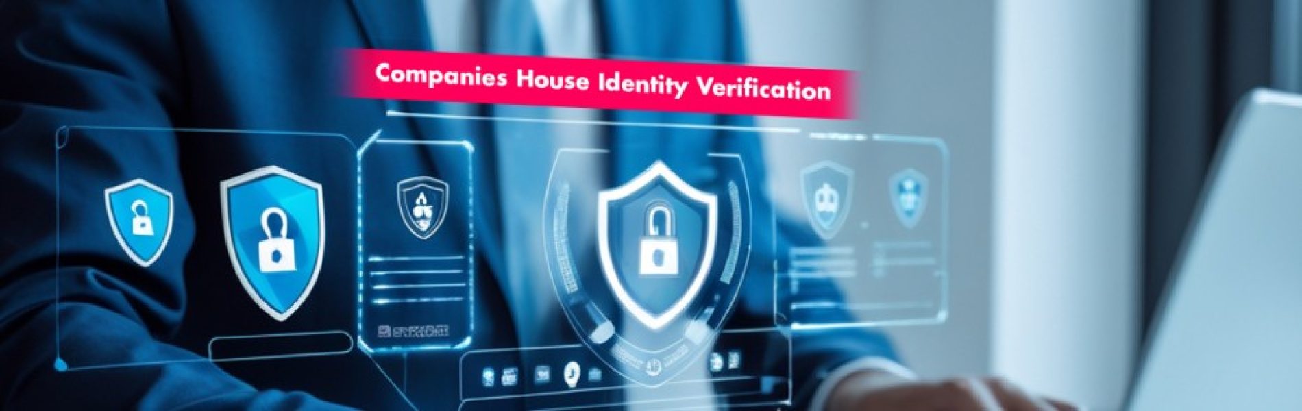 Companies house identity verification
